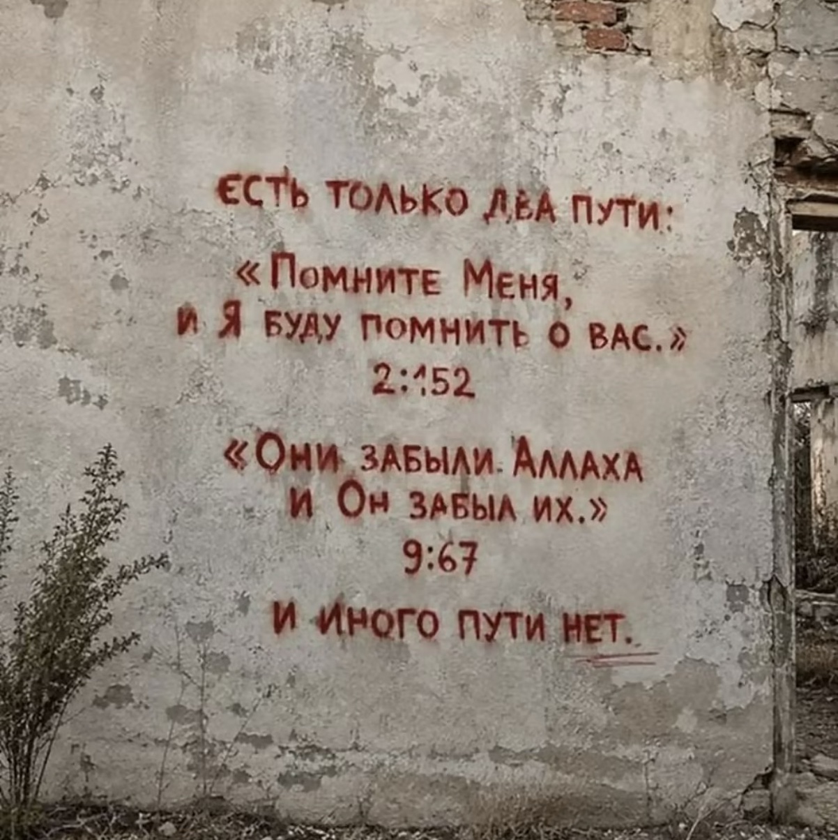 Pafüme